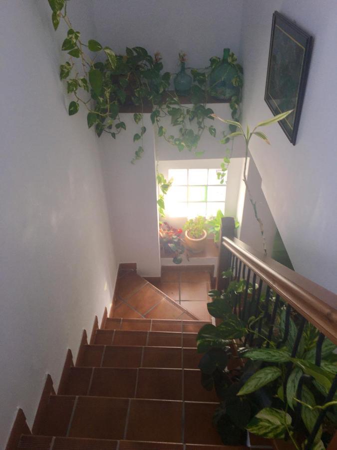 오르히바 La Granada 게스트하우스 외부 사진